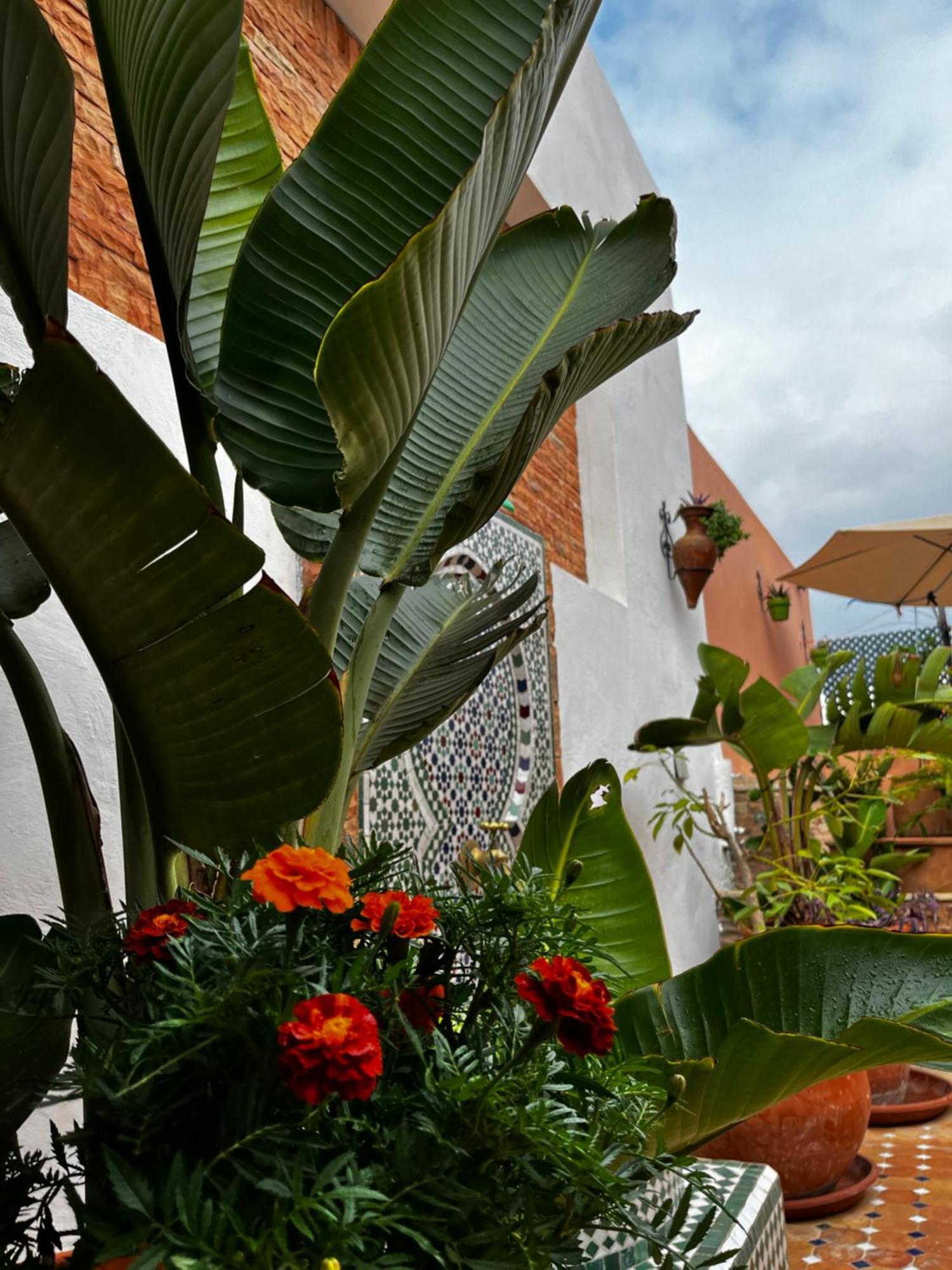Hotel Casa Indigo Rabat Zewnętrze zdjęcie